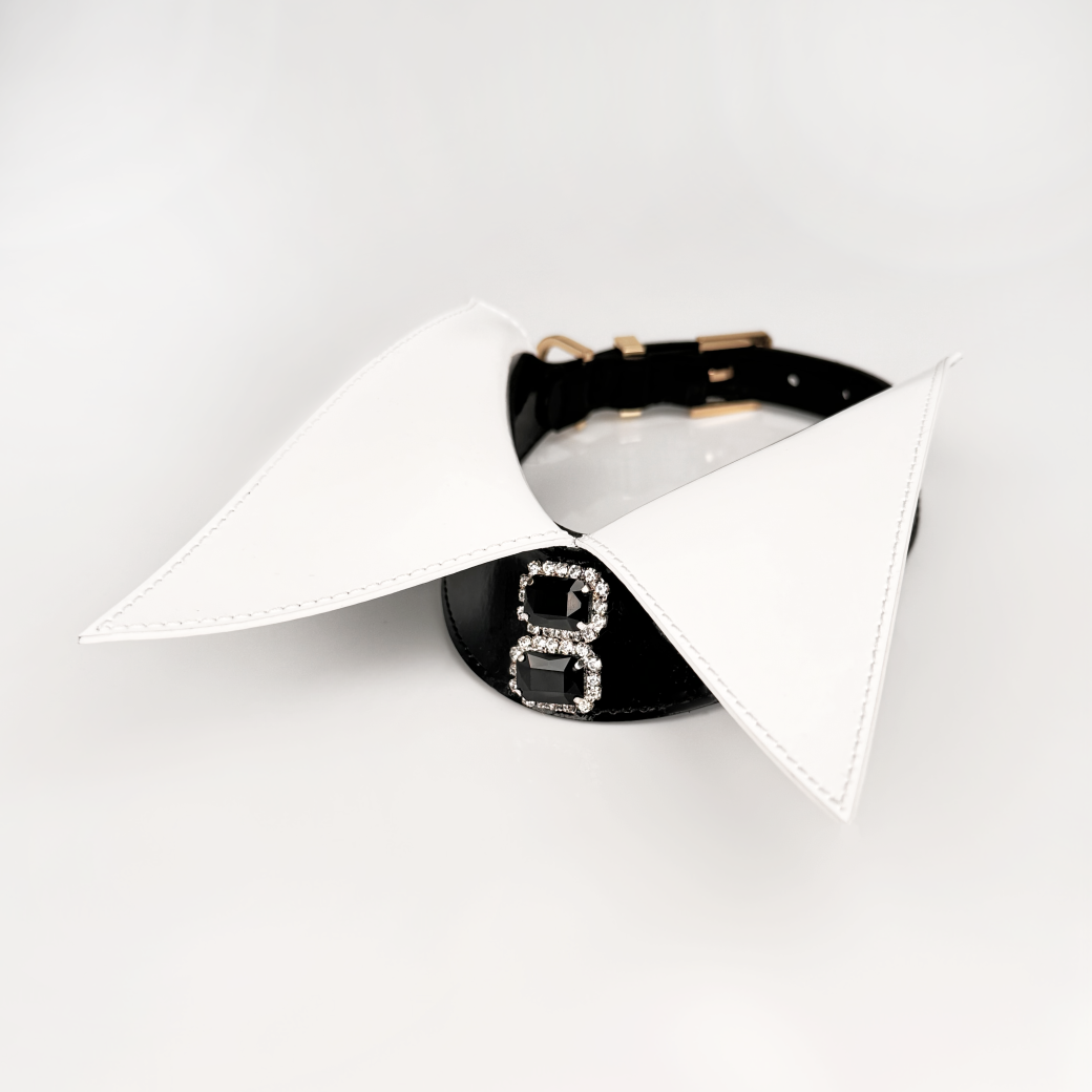 Black Tie Collar