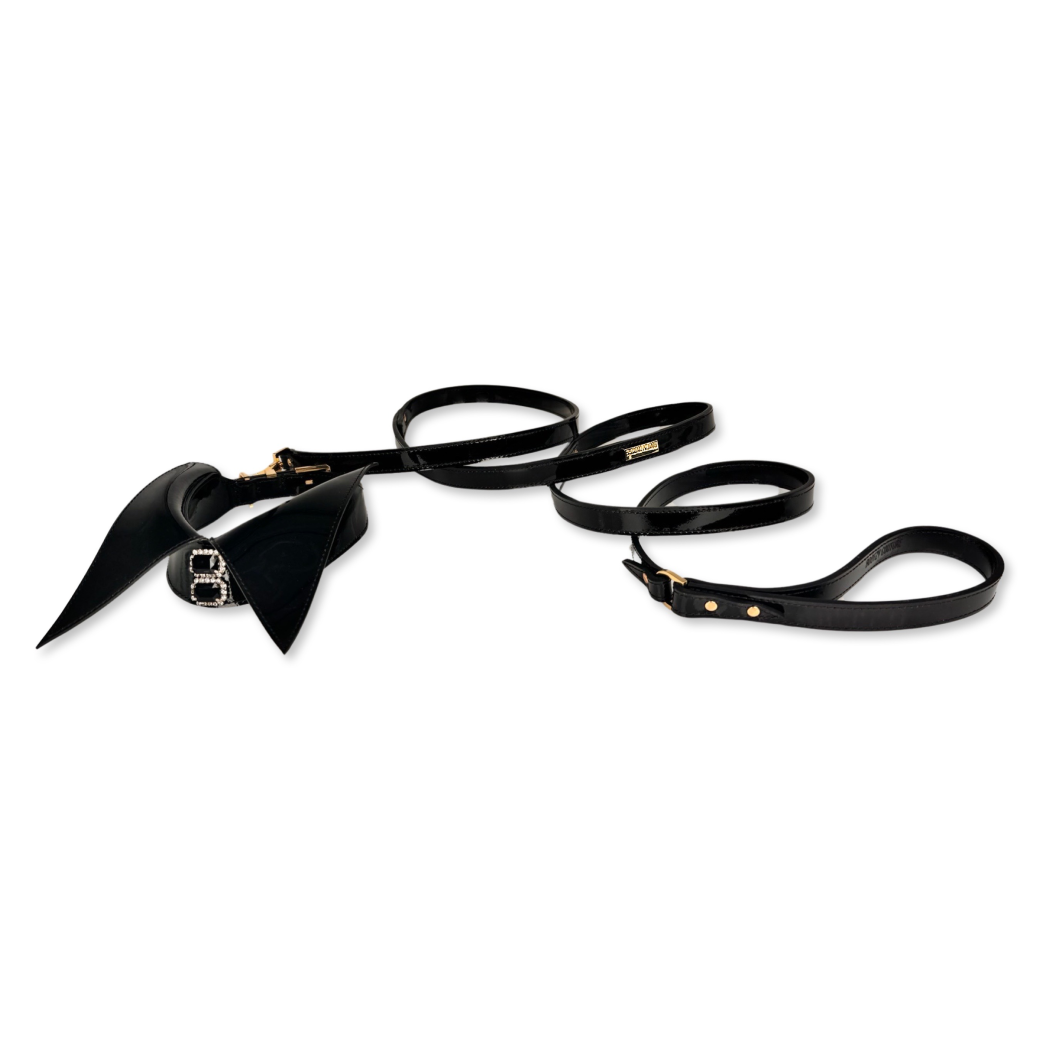 DO THE STRIDE LEASH - Image 2